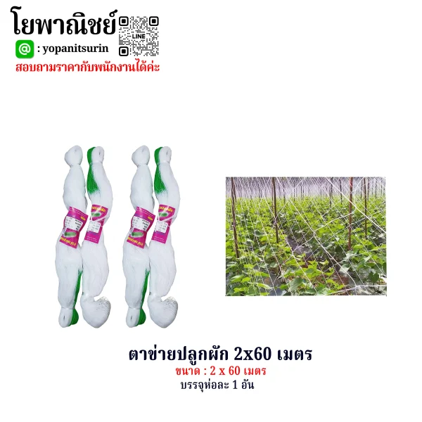 ตาข่ายปลูกผัก 2x60เมตร